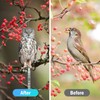 3 Pcs Owl to Keep Birds Away Reflective Owl Bird