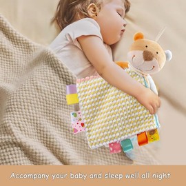 EAQ Newborn Toys Baby Comforters Blanket Newborn Touch Tag Blankets Teddy Bear Soft Comforter Baby Sleeping Toy with Taggies Baby Essentials for Newborn (Bear)
