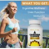 Candida Cleanse 60cápsulas Gut &colon Support
