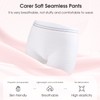 Carer Incontinence Net Knickers, 4 Pcs Women's Net Knickers High