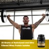 OPTIMUM NUTRITION Gold Standard 100% Isolate Protein Powder, Vanilla Flavour,