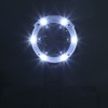 Desktop Handheld LED Magnifier 7X USB Battery Powered Reading Magnifying