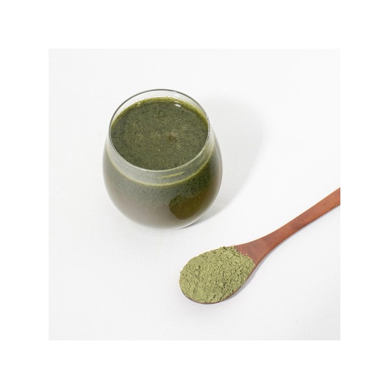 뽕잎 분말 220g Mulberry Leaf Powder 220g