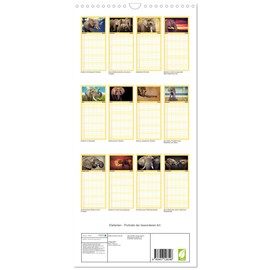Familienplaner 2025 - Elefanten - Portraits der besonderen Art mit 5 Spalten (Wandkalender, 21 cm x 45 cm), CALVENDO