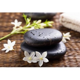 Ladybug Spot Destination Collection Solid Perfume | All-Natural & Handmade in USA | Phthalate-Free Carcinogen-Free Toxin-Free | Essential Oil Infused Fragrance | 1/4 oz Tin Jar (Sea Stone & Tuberose)