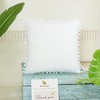 PiccoCasa Velvet Pillow Covers, 1PCS Pom Pom Christmas Throw Pillow