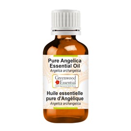 Greenwood Essential Natural Angelica Essential Oil (Angelica archangelica) Natural Pure Therapeutic Quality Steam Distilled 15 ml (0.50 oz)