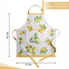 Maison d'Hermine 100% Cotton 1-Piece Kitchen Apron with Adjustable Neck