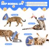 Cat Collar, Recovery Collar, Soft Cat Protective Collar for After