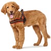 HUNTER Norwegian Harness Meldal, S Mesh, orange
