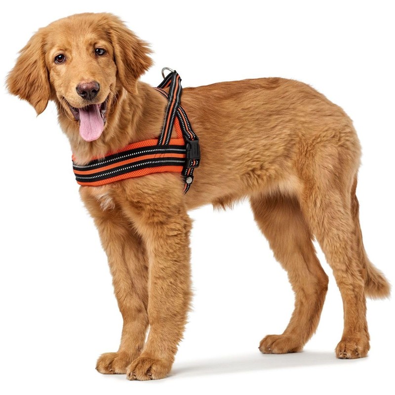 HUNTER Norwegian Harness Meldal, S Mesh, orange