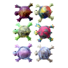 Small Sand Animal Turtle