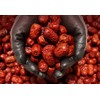 자연닮음 대추 상초, 500g, 1개 Natural-Like Jujube Sangcho, 500g, 1