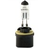 Eiko Fog Light Bulb-SLE Eiko 880 New