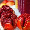 Dragon Garden's (Saipan) Pomegranate Tree Seeds (Punica granatum) "Apple of