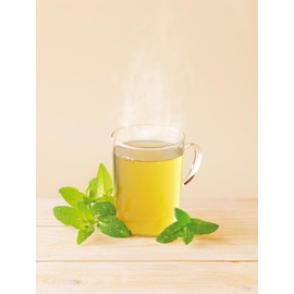 Lebensbaum Peppermint Tea, 20 Bags x 1.5 g Herbal Tea with Strong Fresh Flavour, 100% Organic, Herbal Tea Blend