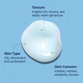 Torriden DIVE IN Low Molecular Hyaluronic Acid Soothing Cream 100ml for Sensitive and Dry Skin