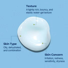 Torriden DIVE IN Low Molecular Hyaluronic Acid Soothing Cream 100ml for Sensitive and Dry Skin