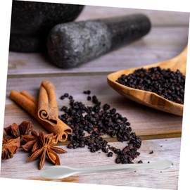 KICHOUSE 10pcs Laboratory Sampling Spoon Mini Measuring Scoop Non-stick Surface for Chemistry Education and Home