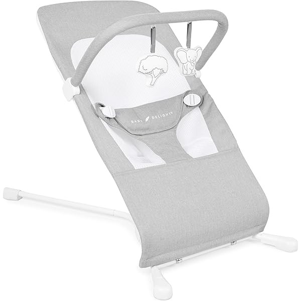 Baby Delight Highland Baby Bouncer | Infant | 0 –