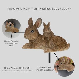 Vivid Arts Plant-Pals (Mother/Baby Rabbit)