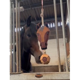 Ruggles Horse Stable Toy | Boredom buster for horse pony donkey (Horse Head)
