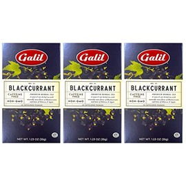 Galil Black Currant Tea Pack of 3 – Caffeine-Free Herbal Tea, Certified Kosher Tea – Non-GMO Fruit Teabags 20 Count, 60 Tea Sachets Total (Pack of 3)
