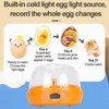 6 Eggs Automatic Egg Incubator Temperature and Humidity LED Display
