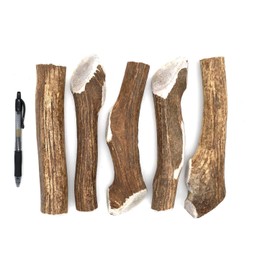 Perfect Pet Chews Elk Antler Dog Chew - Grade A, All Natural, Organic, and Long Lasting Treats - Made from Naturally Shed Antlers in The USA - Mega Treat - 5-Count