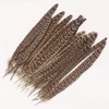 Trsnzul Pheasant Feathers, Pack of 40 Artificial Feathers for Dream