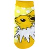 Small Planet Character Socks, Pokémon, Thunders, Dot Junior, 5.9 -