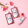 Klorane Peony Shampoo 400ml x 2 + Scalp Pack 150ml