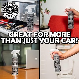 Chemical Guys Black Frost Ambientador y Eliminador de Olores, (ideal para coches, camiones, todoterrenos, caravanas, casa, oficina, dormitorio y más) 