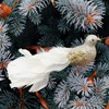 Yolococa 2pcs Champagne Christmas Tree Decoration Birds