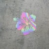 ANGDEST CLUB Decal Stickers of Hibiscus Flower 3 (Hologram) Premium