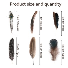 48PCS Natural Pheasant Feathers,6 Styles 48pcs Assorted Craft Peacock Feather Bulk, Peacock Feathers for DIY Crafting Hat Vase Wedding Autumn Party Costumes Decor