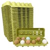 Green Paper Pulp Egg Cartons - 50 Pack