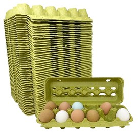 Green Paper Pulp Egg Cartons - 50 Pack
