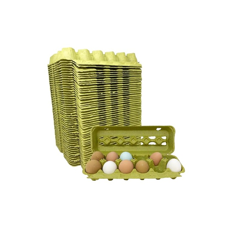 Green Paper Pulp Egg Cartons - 50 Pack