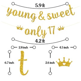 Maicaiffe Young & Sweet Only 17 Banner - Boy Girl 17th Birthday Party Decor - 17 Years Old - Happy 17th Birthday Party Decorations, Gold Glitter
