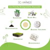 ECOWINGS 9 inch Biodegradable Plates, Eco-Friendly and Compostable - Better
