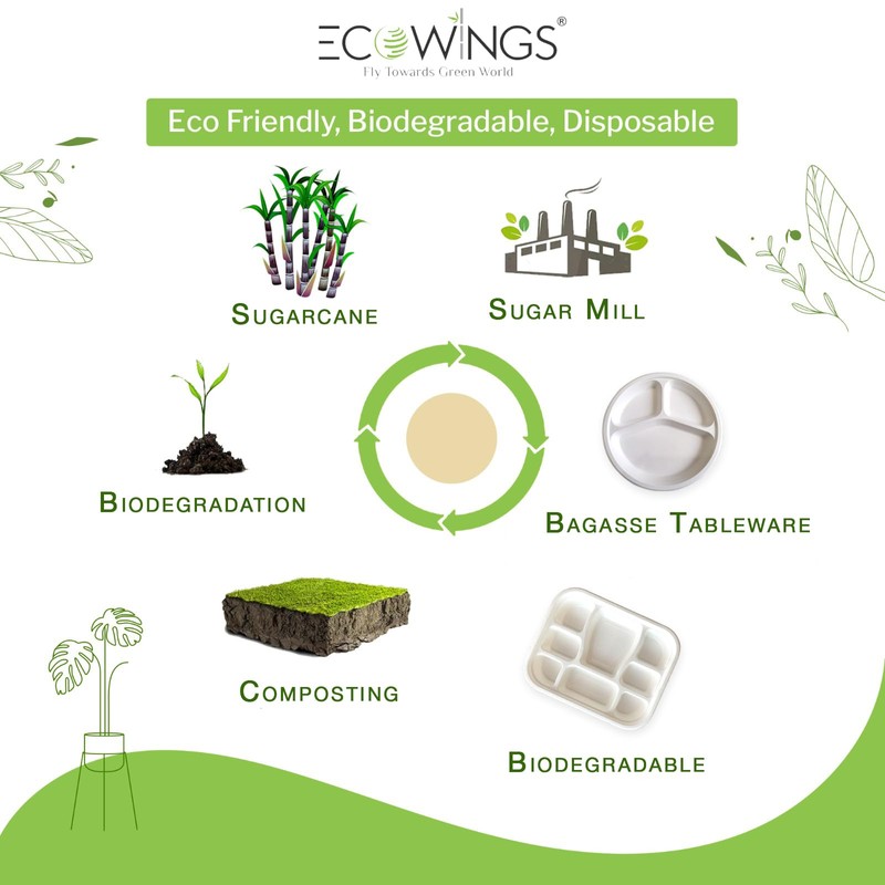 ECOWINGS 9 inch Biodegradable Plates, Eco-Friendly and Compostable - Better