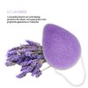Organic Konjac Sponge for Face with Lavender | Set of