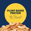 PLANTERS Salted Cashew Halves & Pieces, Party Snacks, Plant-Based Protein
