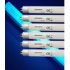 Dameiol (6Pack) 32050 F6T5/BL Replacement Bulbs,9''Length,T5 6W Fluorescent Light Tube,Compatible