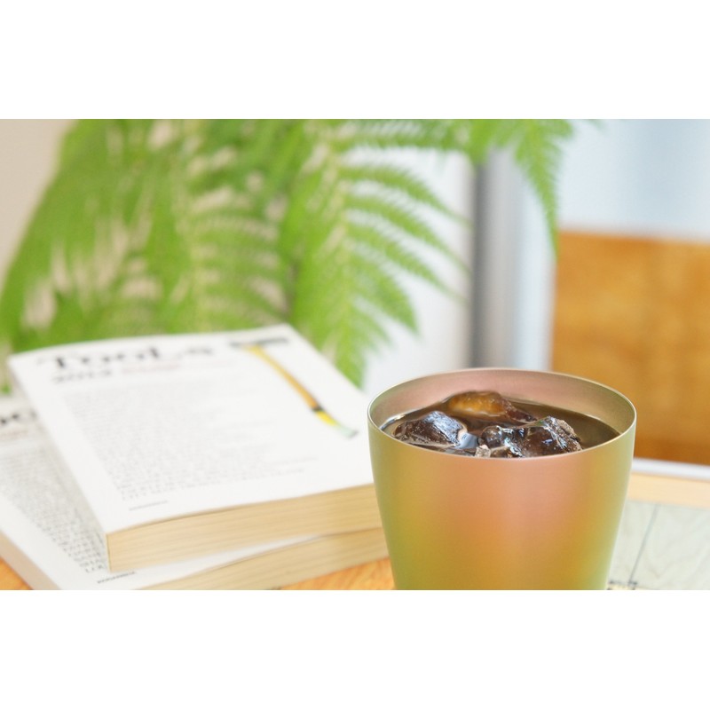 HORIE T15HI250 Tsubame Niigata Titanium Double Wall Tumbler, 8.5 fl