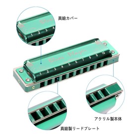 East top Harmonica Blues Harmonica 10 Hole Harmonica C Tone 10 Hole 20 Tone Brass Cover Canvas Case Clean Cloth Professional Diatonic Harmonica(T008Z-C-gm)