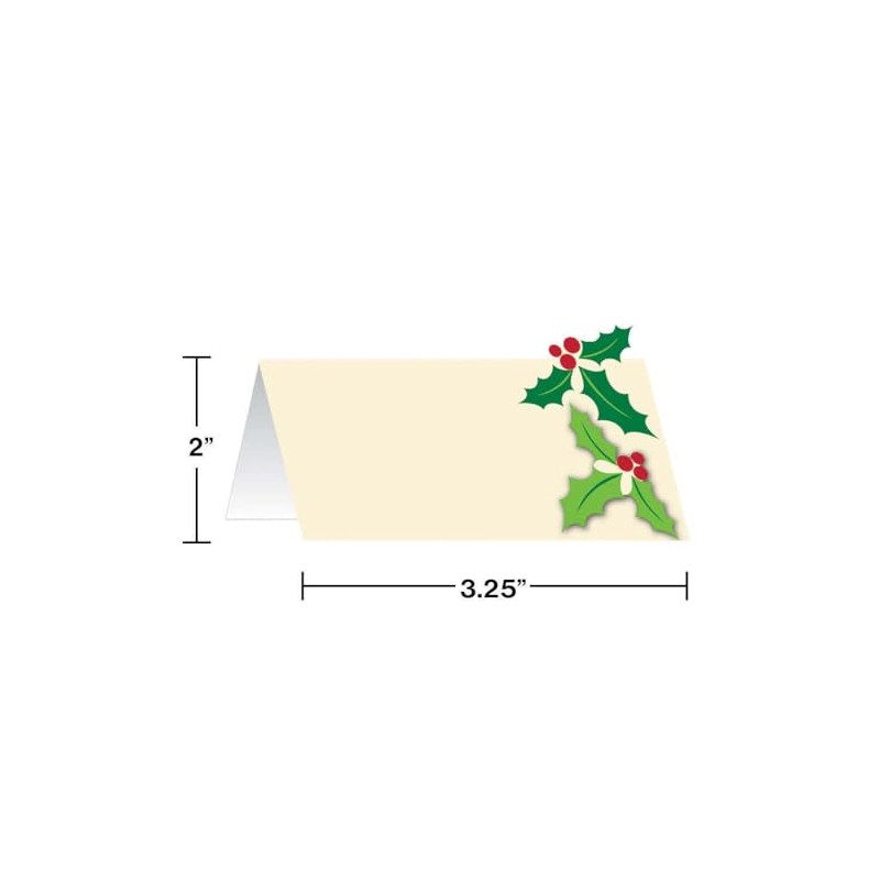 Creative Converting 325461 Holly Platzkärtchen, Papier, Mehrfarbig
