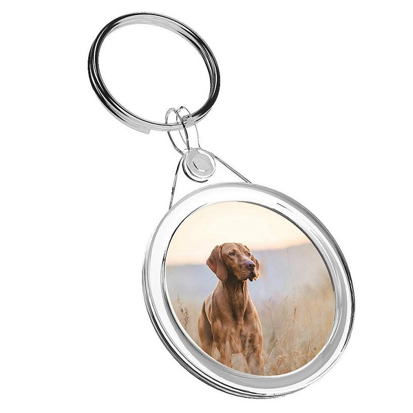 Destination Vinyl Keyrings 1 x Hungarian Pointer Vizsla Dog -