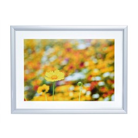 FUJICOLOR 306686 Aluminum Frame A32 A4 Silver